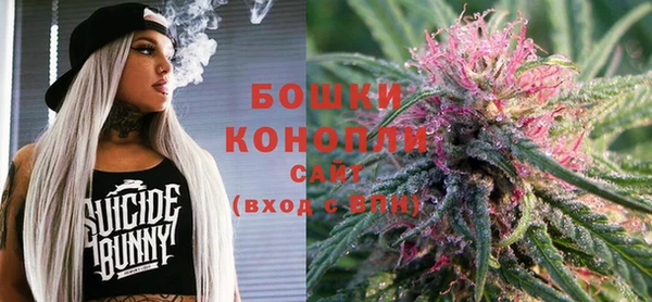 шишки Баксан