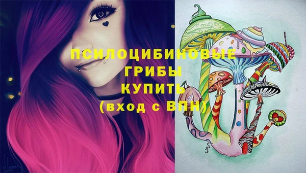 шишки Баксан