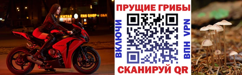 mega маркетплейс  купить закладку  Горняк  Галлюциногенные грибы мицелий 